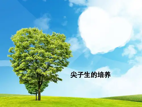 尖子生的培养班会课件
