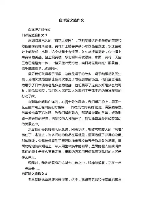 白洋淀之旅作文