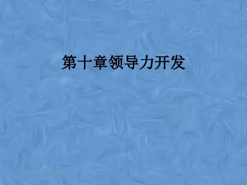 第十章领导力开发