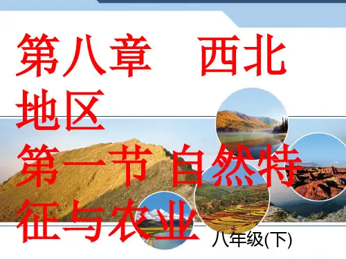 人教版八下地理 自然特征与农业 课件 (30张)PPT课件
