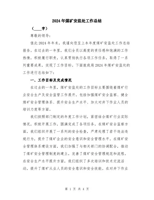 2024年煤矿安监处工作总结