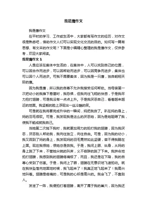 我是鹰作文