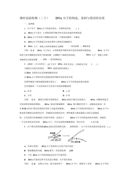 2019版高考生物一轮练习(二十)DNA分子的结构、复制与基因的本质解析版