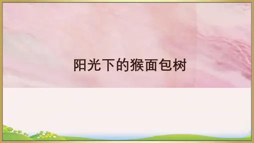 少儿6—7岁 阳光下的猴面包树—美术课件