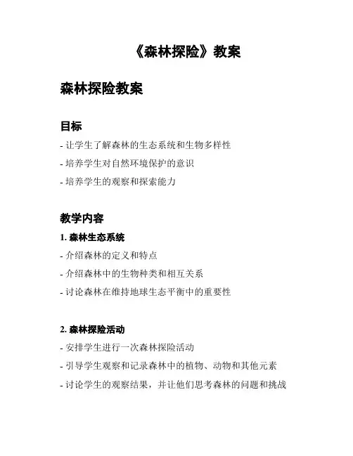 《森林探险》教案