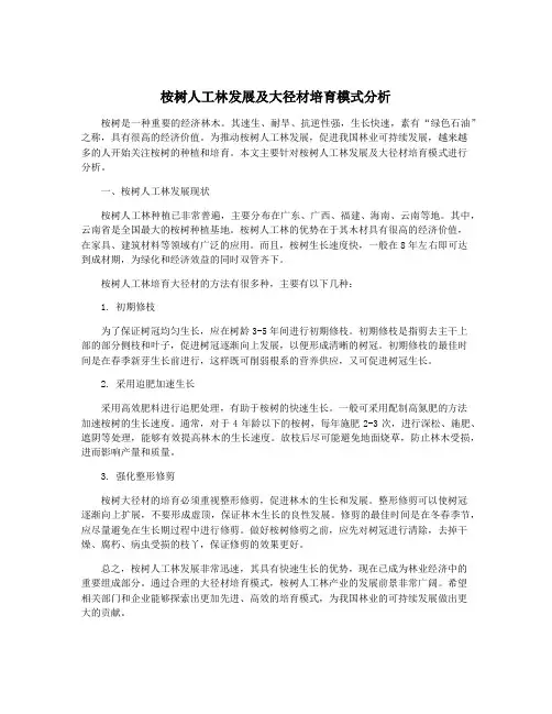 桉树人工林发展及大径材培育模式分析