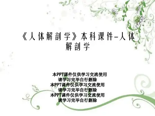 《人体解剖学》本科课件-人体解剖学