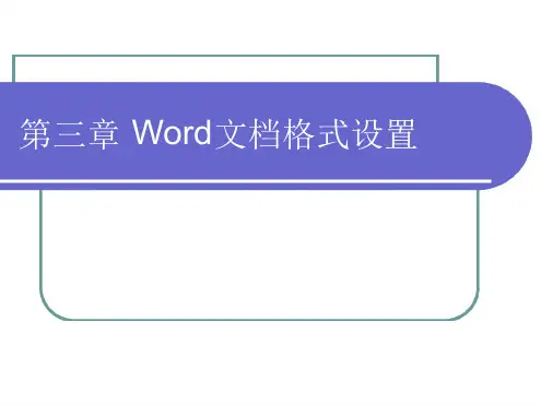 Word文档格式设置
