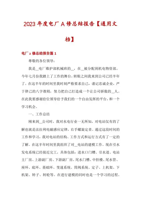 2023年度电厂A修总结报告【通用文档】
