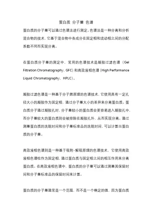 蛋白质 分子量 色谱