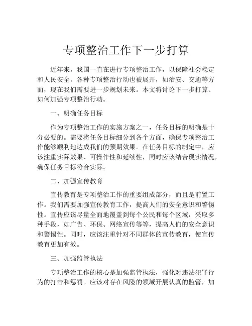 专项整治工作下一步打算