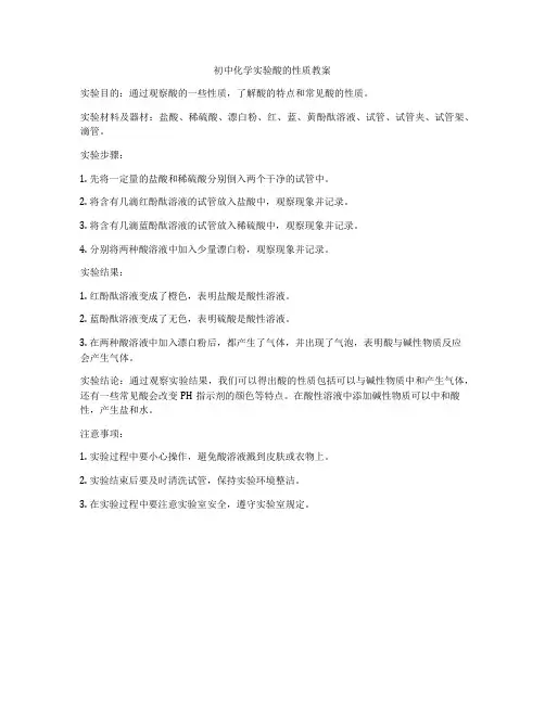 初中化学实验酸的性质教案