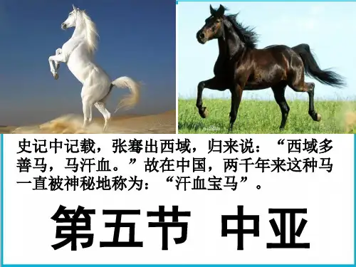 高三地理一轮复习中亚区域地理PPT课件(18张PPT)