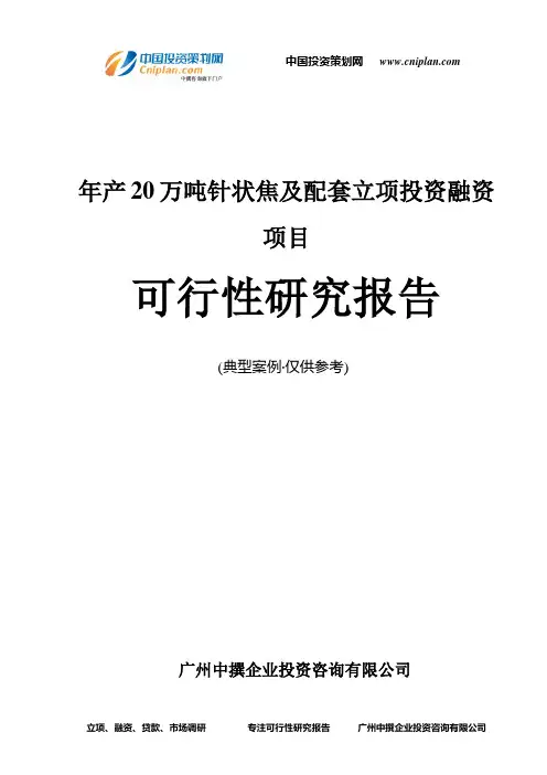 年产20万吨针状焦及配套融资投资立项项目可行性研究报告(中撰咨询)
