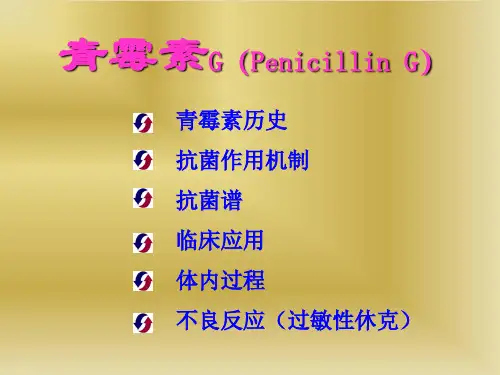 最新文档青霉素G介绍ppt课件