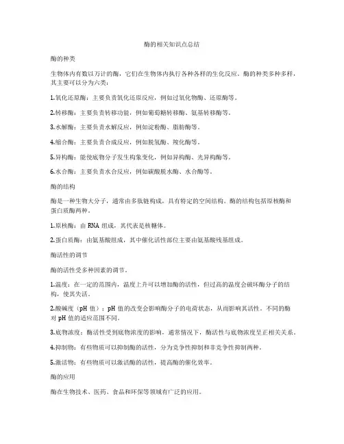 酶的相关知识点总结