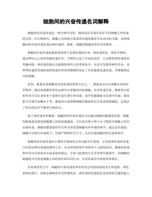 细胞间的兴奋传递名词解释