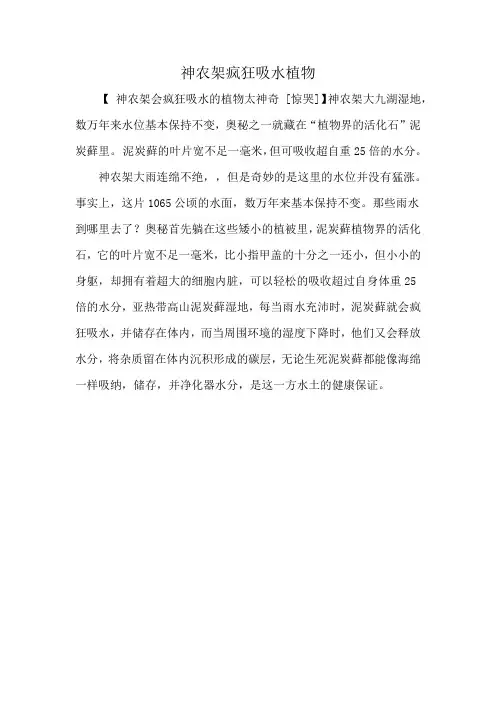 神农架疯狂吸水植物