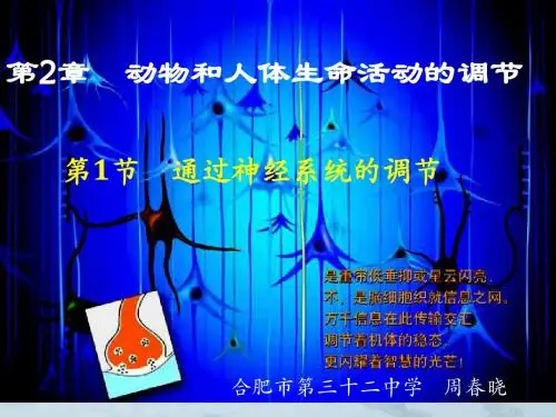人教版教学课件第二章第一节通过神经系统的调节公开课