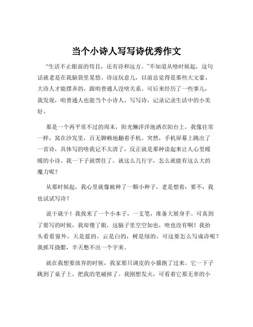 当个小诗人写写诗优秀作文