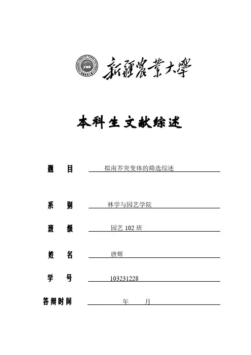 拟南芥突变体的筛选与鉴定综述