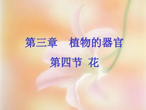 药用植物学-7花