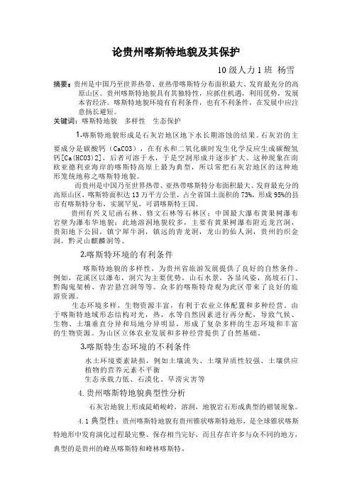 论贵州喀斯特地貌及其保护