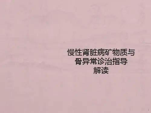 CKD-MBD诊治指导解读ppt课件全