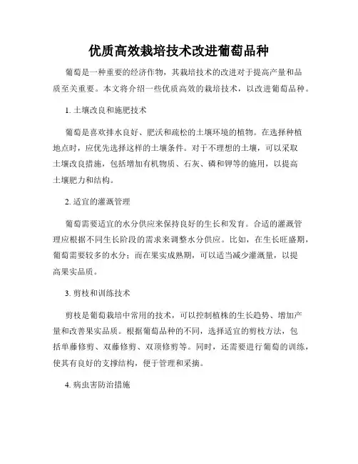 优质高效栽培技术改进葡萄品种