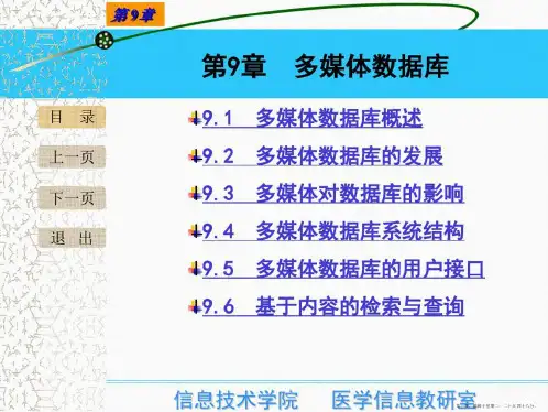 第9章多媒体数据库