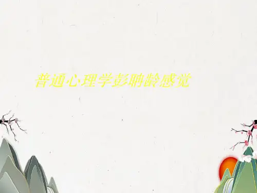 普通心理学彭聃龄感觉