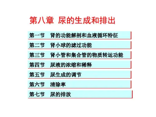 生理学chapt08肾脏的排泄功能ppt演示课件