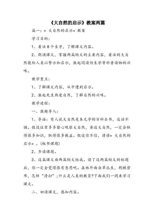 《大自然的启示》教案两篇