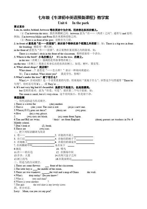 牛津英语预备课程 Unit 6 In the park 全套精品教学案