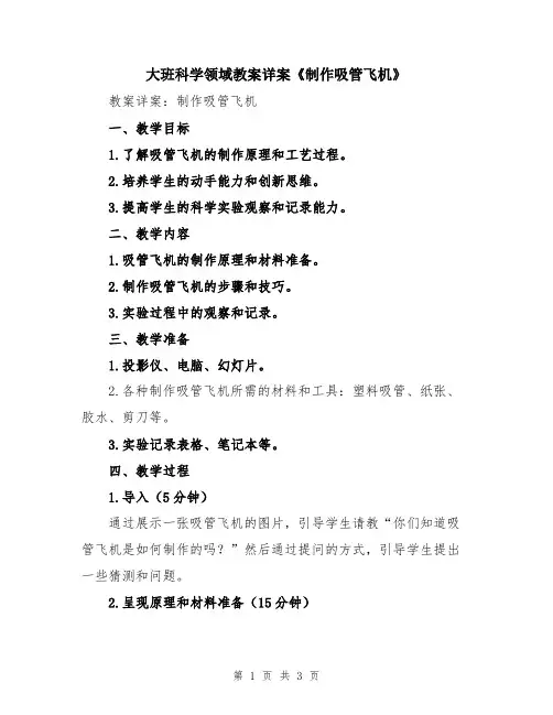 大班科学领域教案详案《制作吸管飞机》
