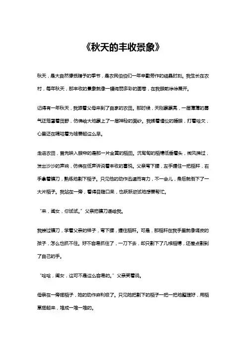 秋天的丰收景象作文