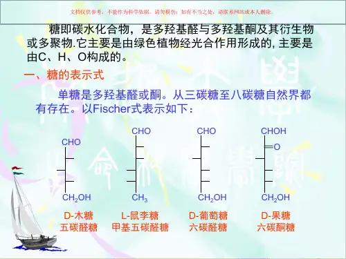 碳水化合物代谢课件