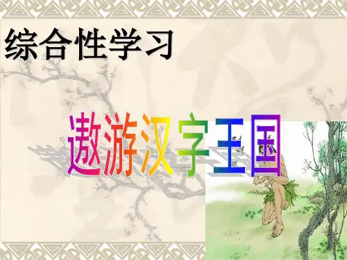 《遨游汉字王国》PPT课件