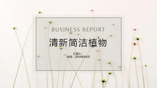 清新简洁小花植物背景PPT模板