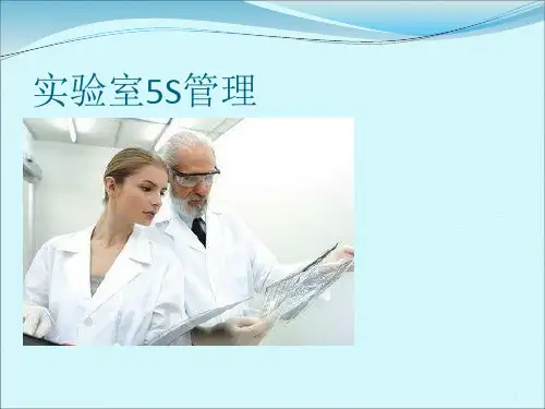 实验室5S管理ppt课件