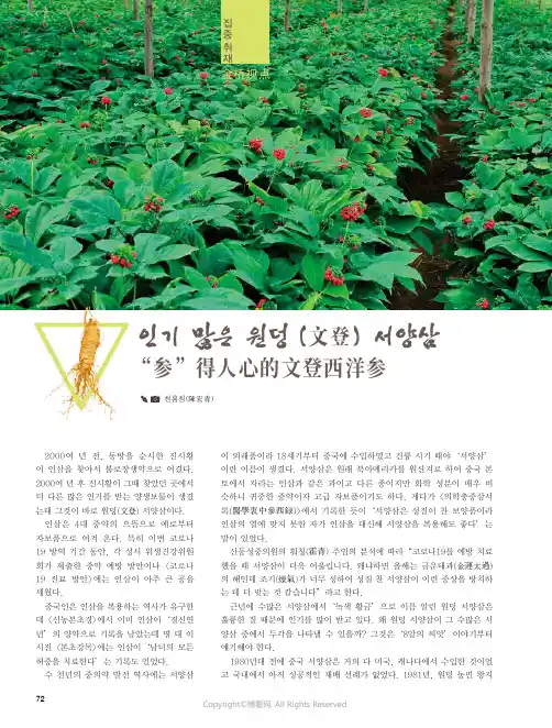 “参”得人心的文登西洋参