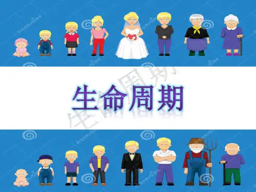 (完整版)人的生命周期
