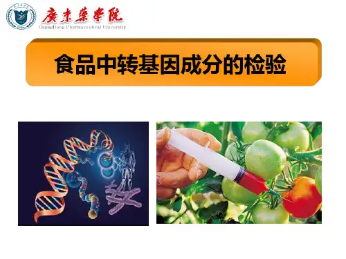 食品理化检验 食品中转基因成分的检验