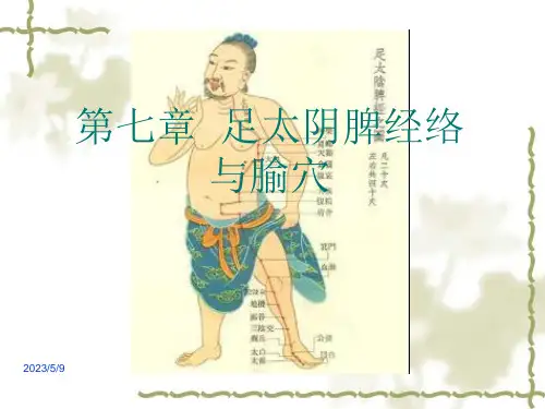 4足太阴脾经