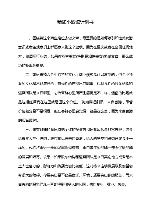 精酿小酒馆计划书