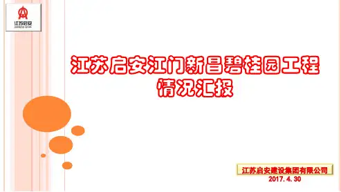 项目总结PPT汇报