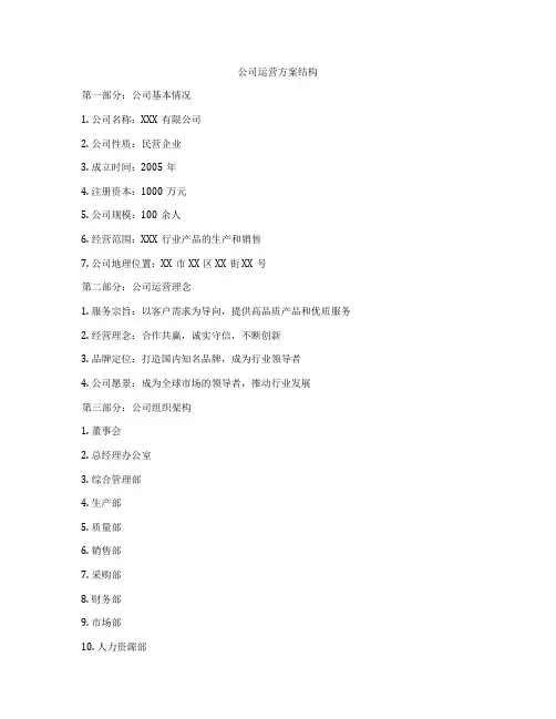 公司运营方案结构