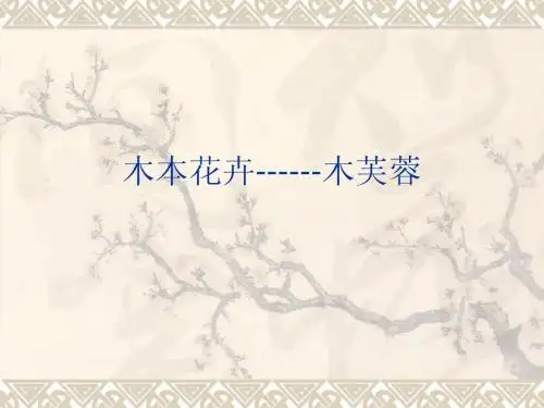 木本花卉—木芙蓉