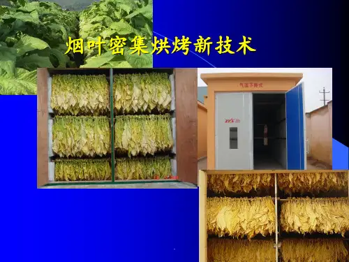 密集烘烤新技术PPT课件