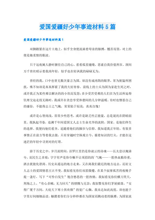 爱国爱疆好少年事迹材料5篇
